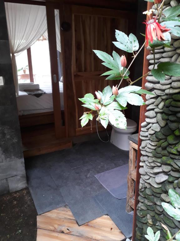 Zahrada ubytování Ganesh Villa