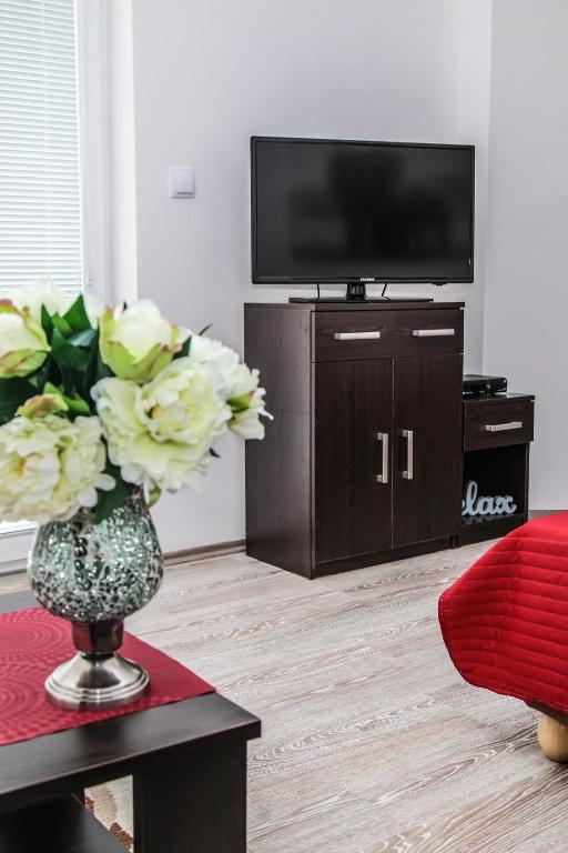 TV a/nebo společenská místnost v ubytování Apartmány RELAX Podhájska