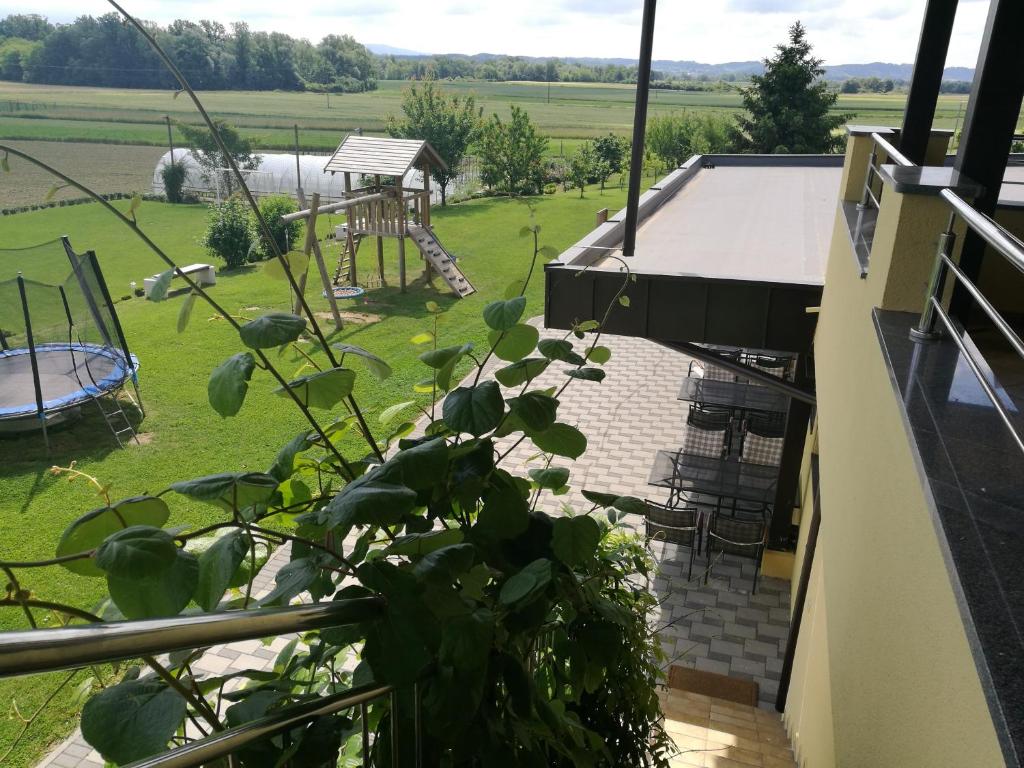 Zahrada ubytování Gostilna in prenočišče KOCJAN