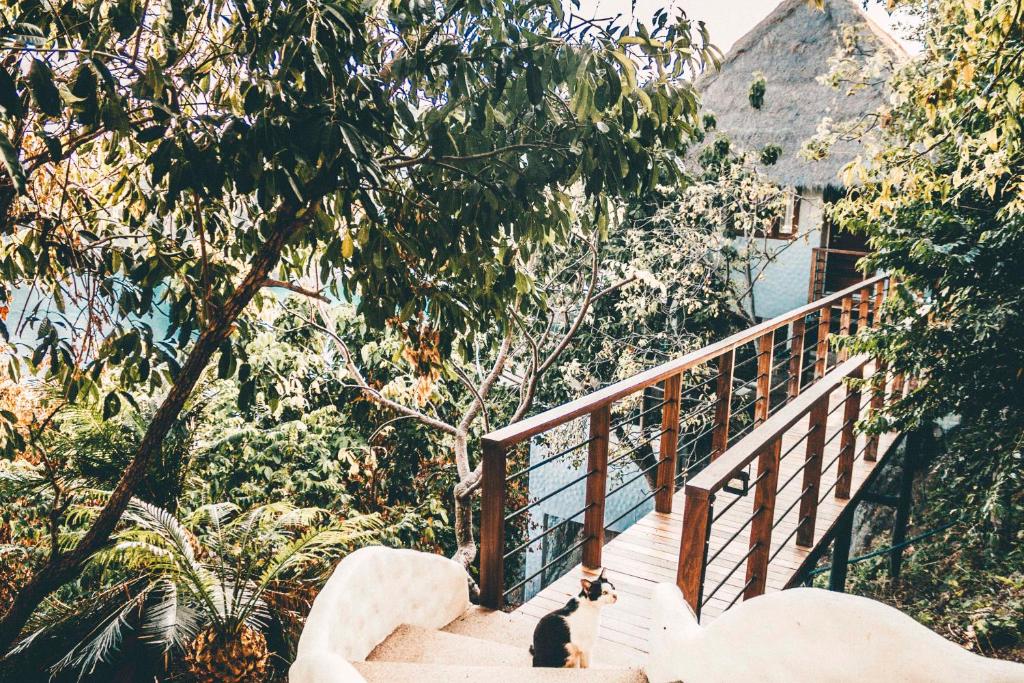 Fotografie z fotogalerie ubytování Langkhai Garden v Ko Tao