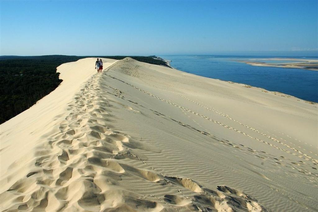 サン・ジュリアン・アン・ボルヌにあるMobilhome Landの水辺の砂丘を歩く男