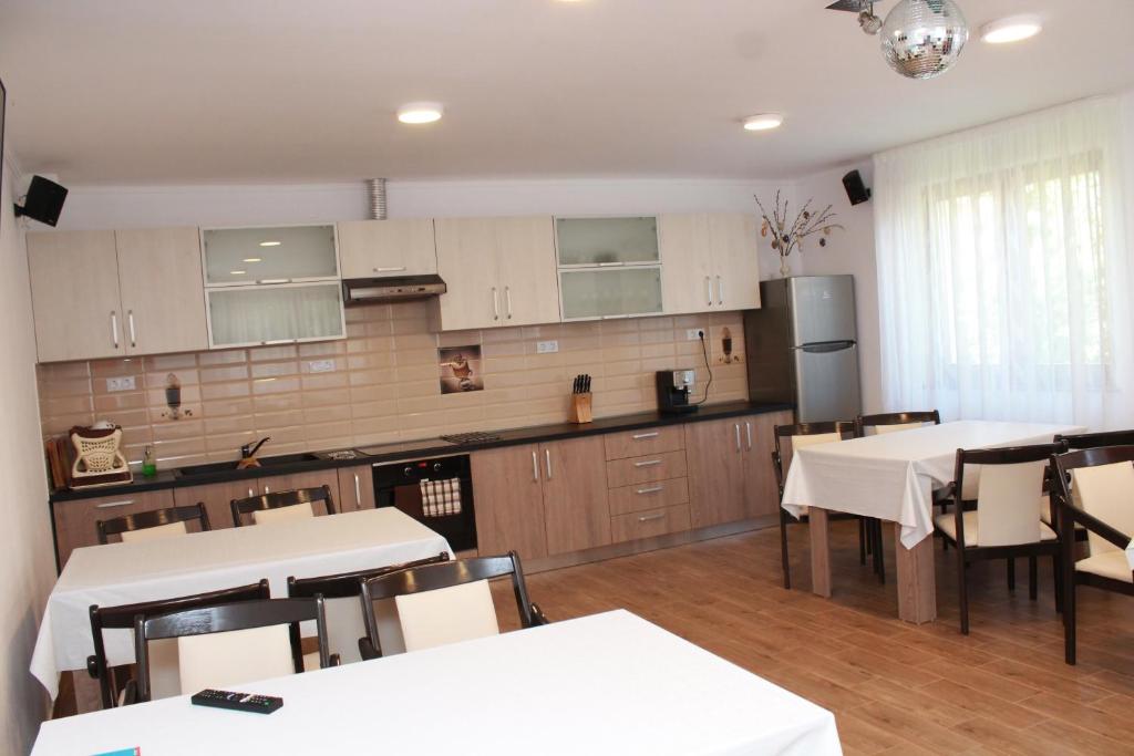 Kuchyň nebo kuchyňský kout v ubytování Casa Moldovan