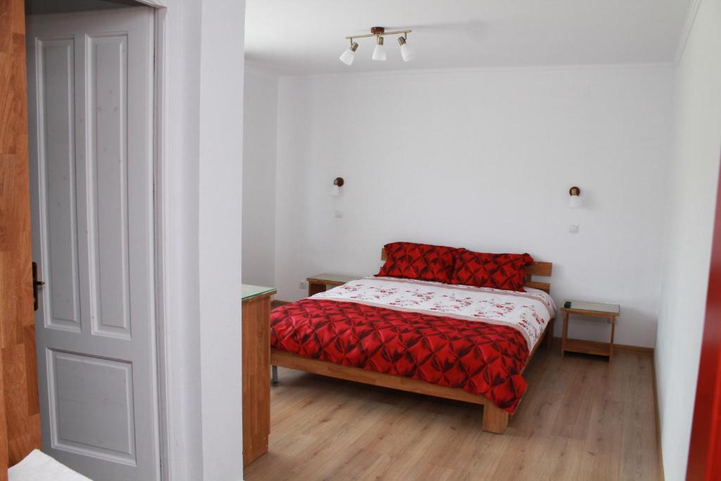 Postel nebo postele na pokoji v ubytování Casa Moldovan