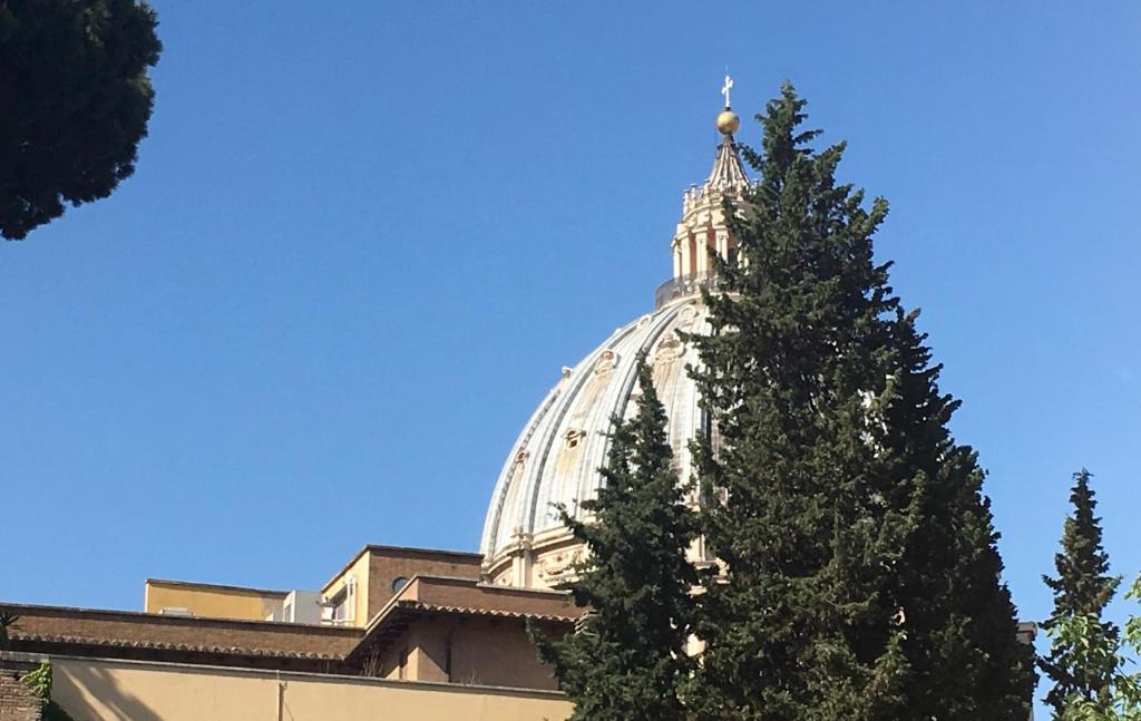 a large building with a christmas tree in front of it at Vista Cupola House in Rome