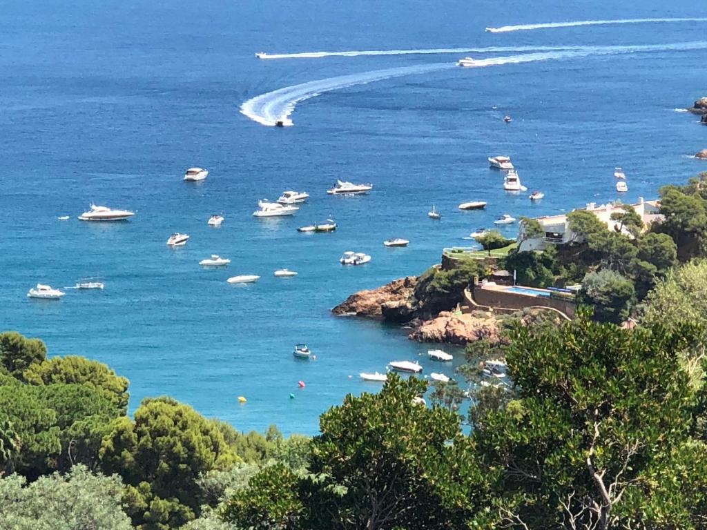 ベグールにあるVilla Sa Riera Begur vue mer panoramique et plage à piedsの水中の船団