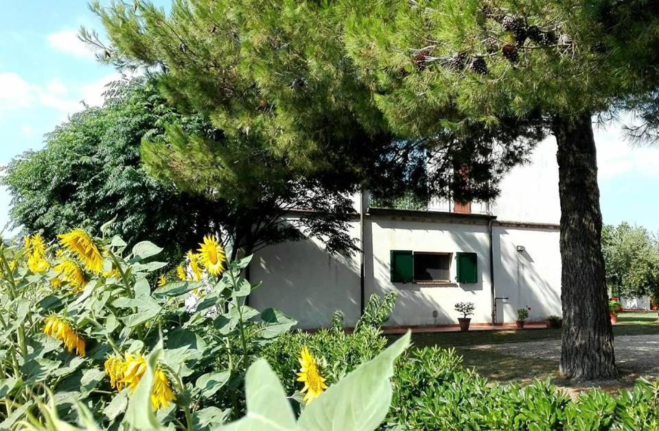 une maison blanche avec un arbre et des fleurs au premier plan dans l'établissement Silos Torrenova, à Potenza Picena