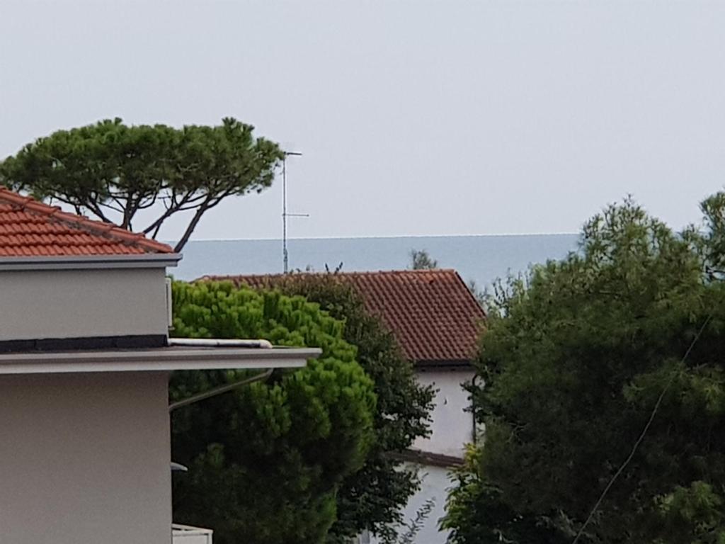Příroda nedaleko hotelu