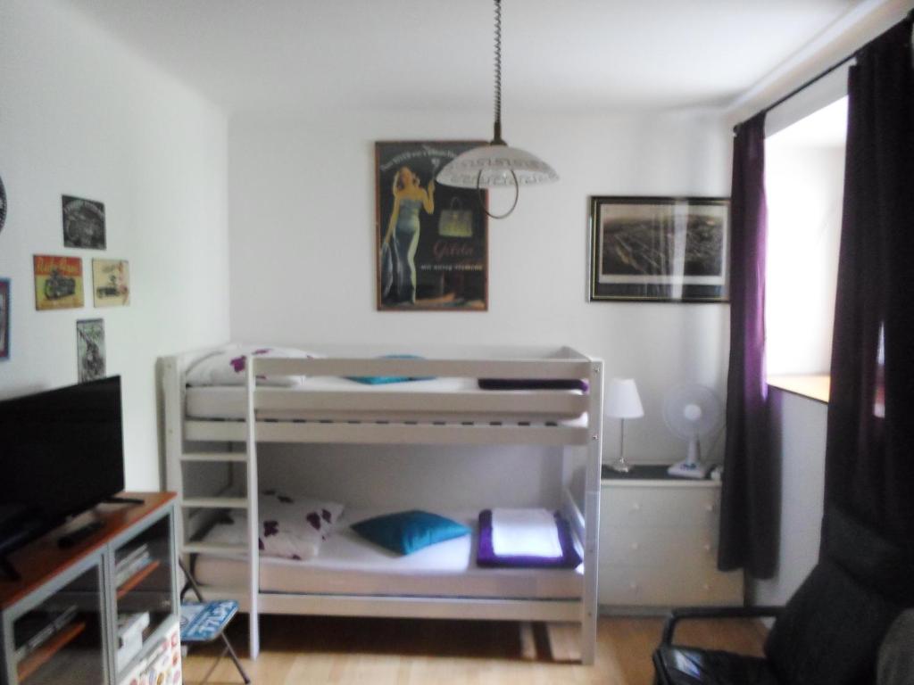 Un dormitorio con una litera con un gato. en Senka, en Zagreb