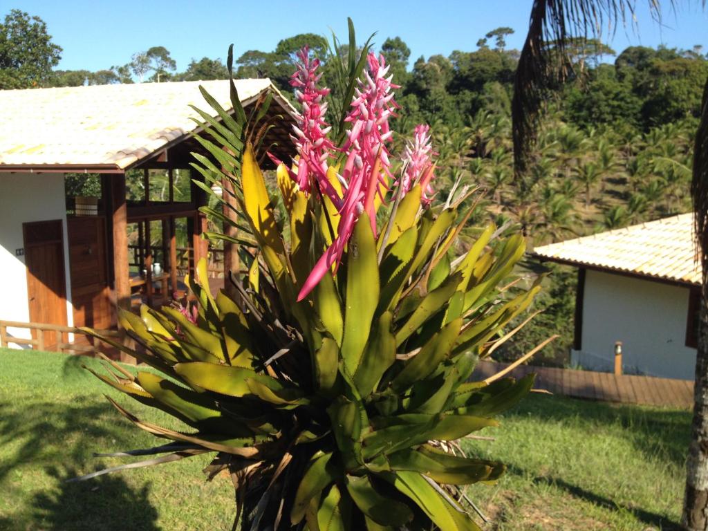  Itacaré EcoRanch