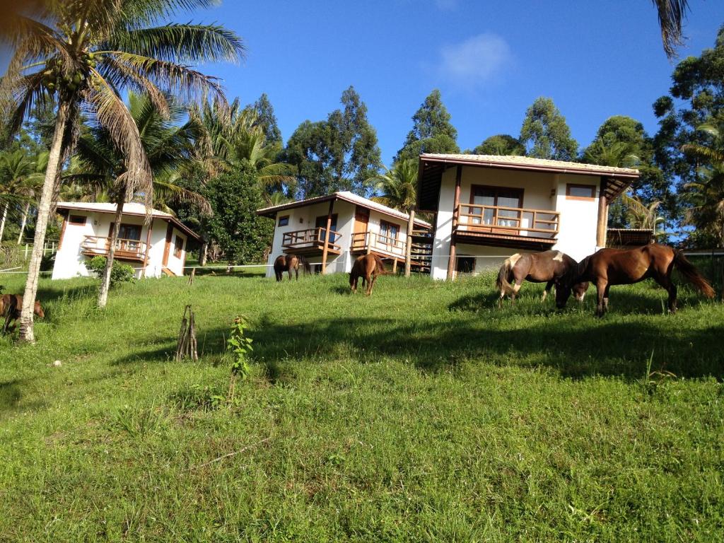  Itacaré EcoRanch