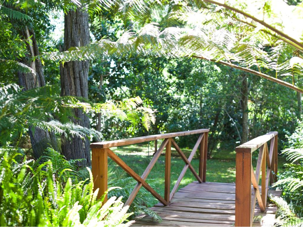 uma ponte de madeira num jardim com árvores em Andelomi Nature's Rest em Stormsrivier