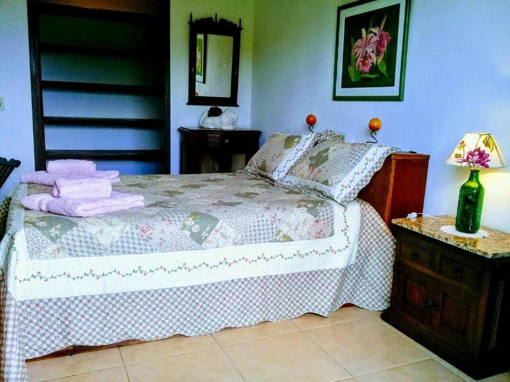  Suites em meio a Mata Atlântica