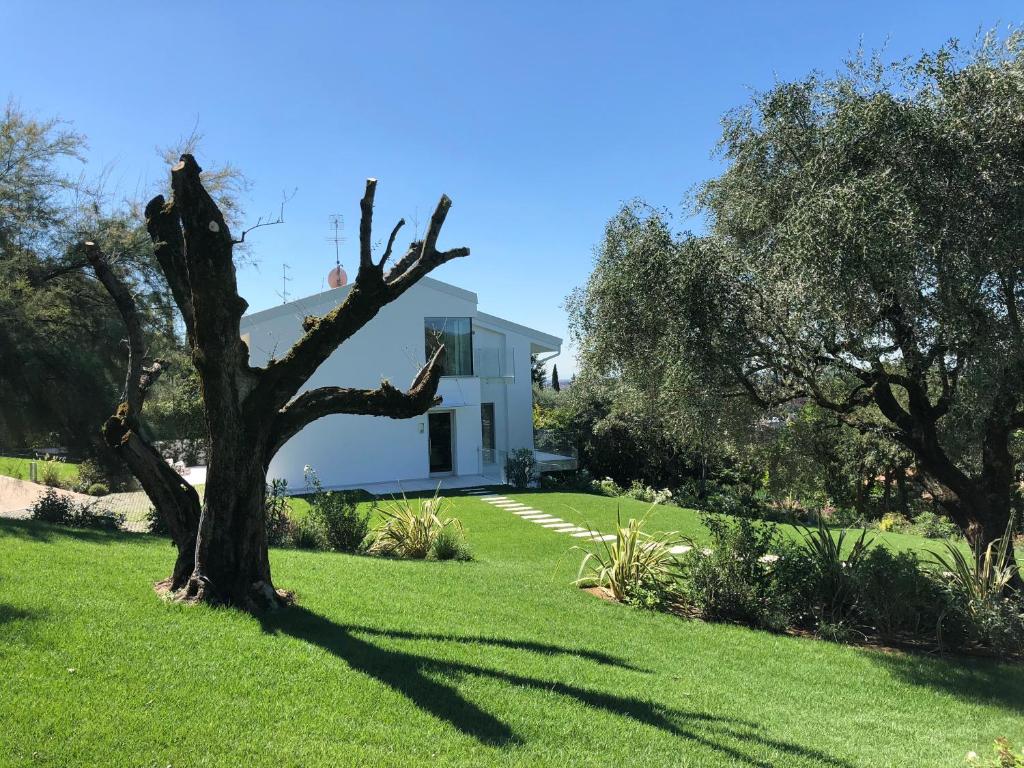 a white house with a tree in the yard at Villa Il Bacio del Sole in Verona