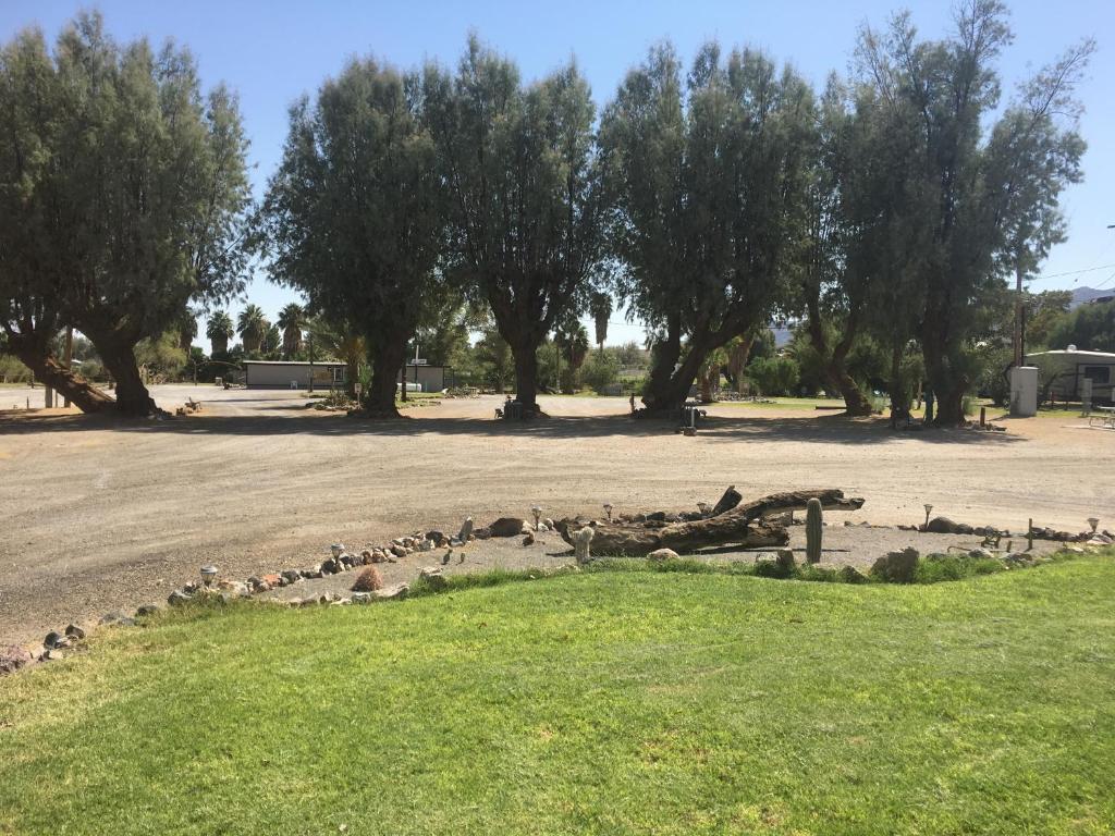 a flock of birds in a park with trees at Shoshone RV Park in Shoshone