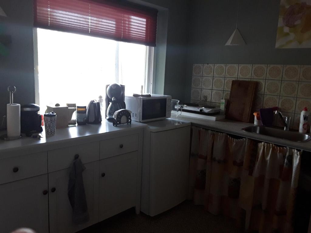 une cuisine avec un four micro-ondes et un évier ainsi qu'une fenêtre dans l'établissement Kjellerup bed&Breakfast, à Kjellerup