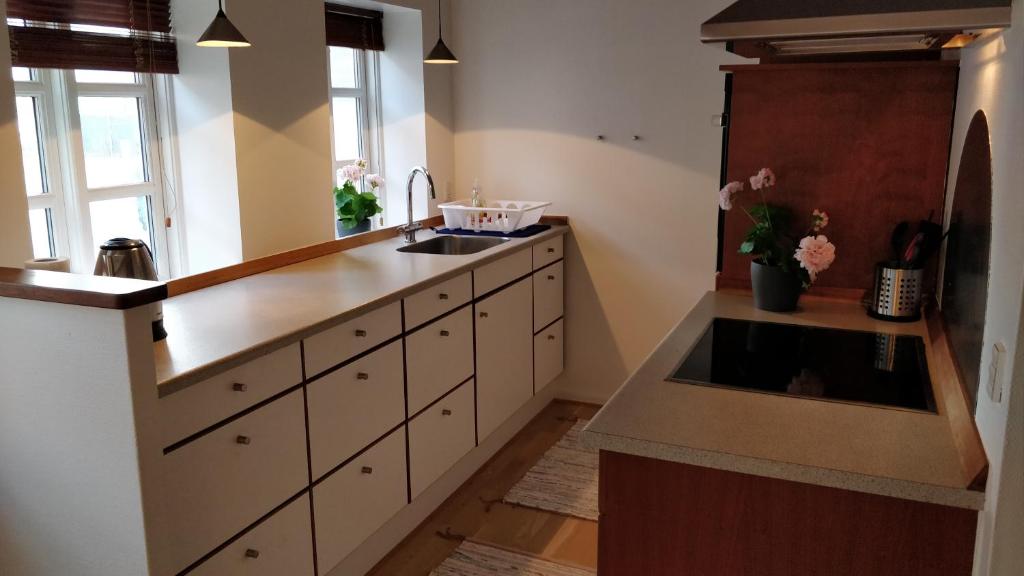 Kuchyň nebo kuchyňský kout v ubytování Aalborg City Rooms ApS
