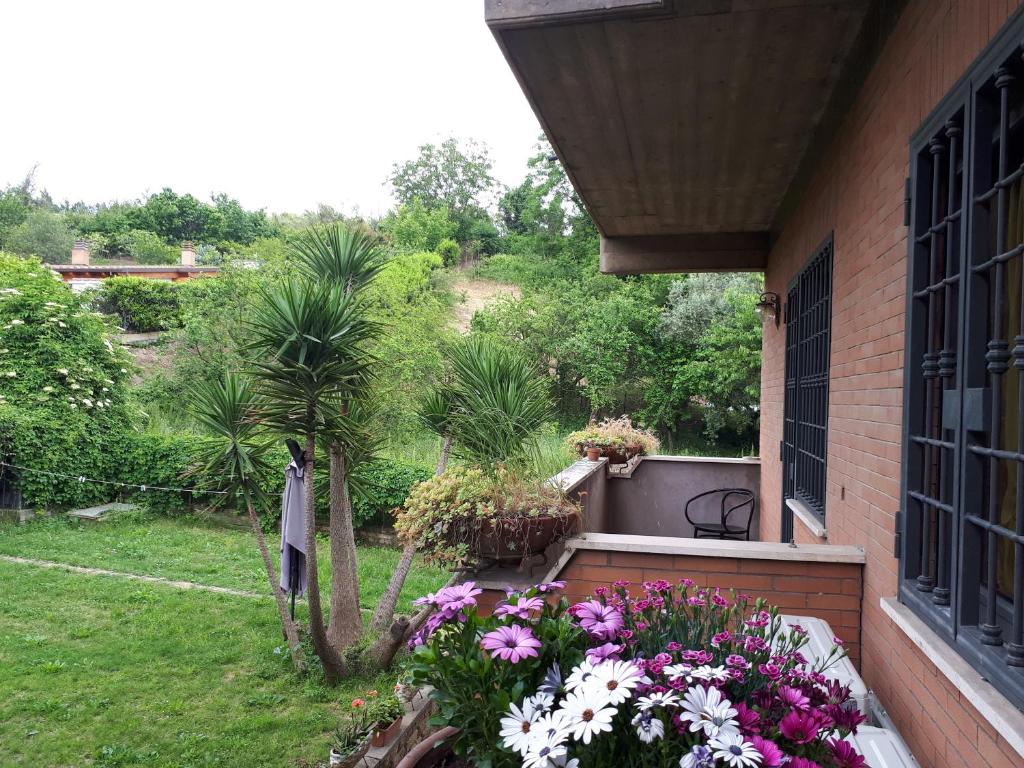 B&B Papa Leone Countryrooms - Error