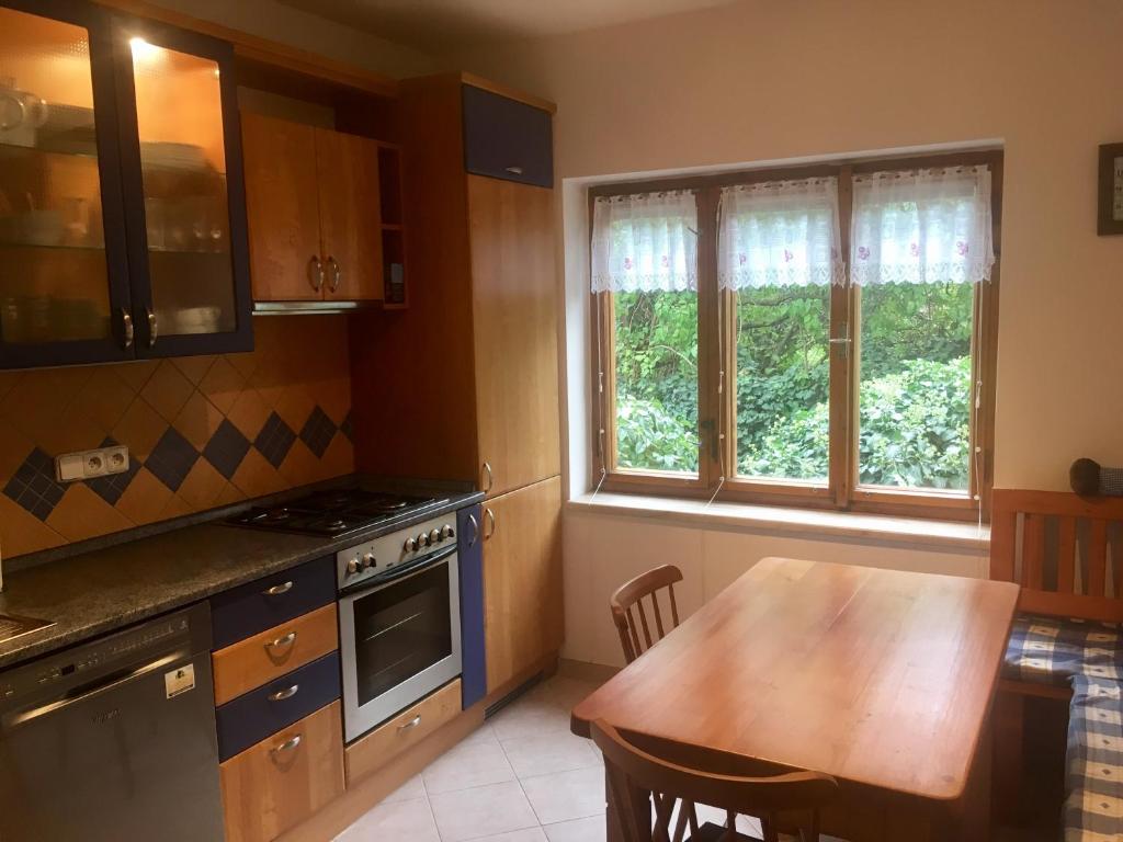 Kuchyň nebo kuchyňský kout v ubytování Pension Apartment Granit