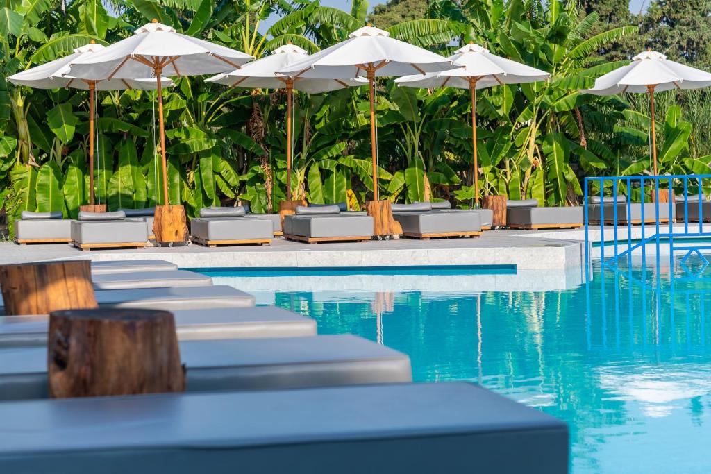 a pool with chairs and umbrellas next to the water at Diamond Boutique Hotel in Kos Town