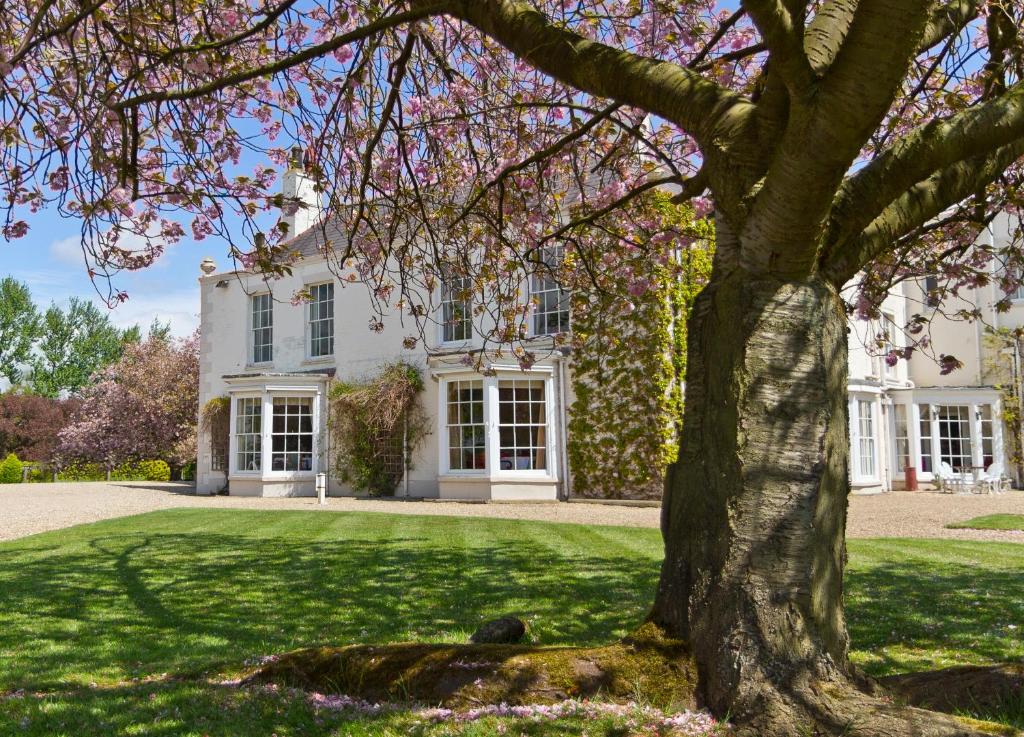 Tickton Grange Hotel 4