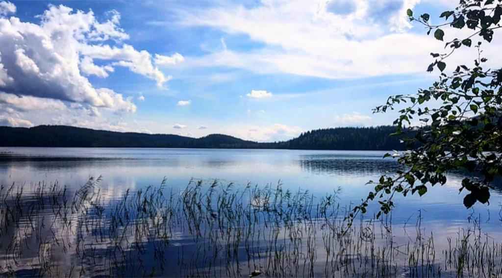 Příroda nedaleko apartmánu