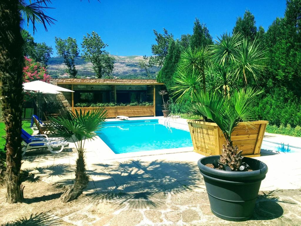 una piscina con palmeras y una casa en Casa Do Prado Guesthouse, en Vila Real