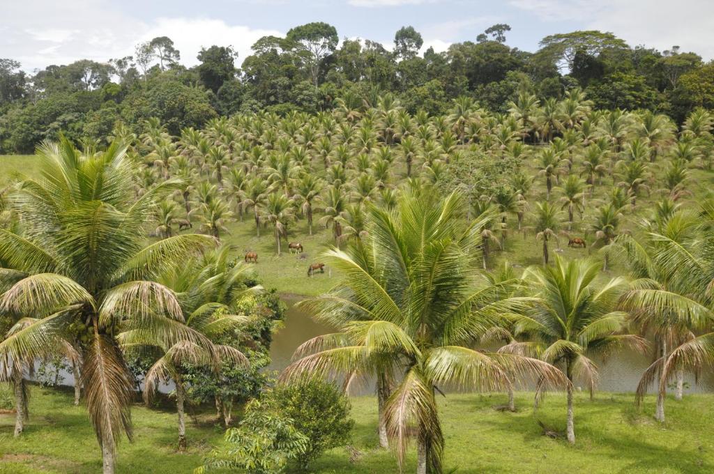  Itacaré EcoRanch