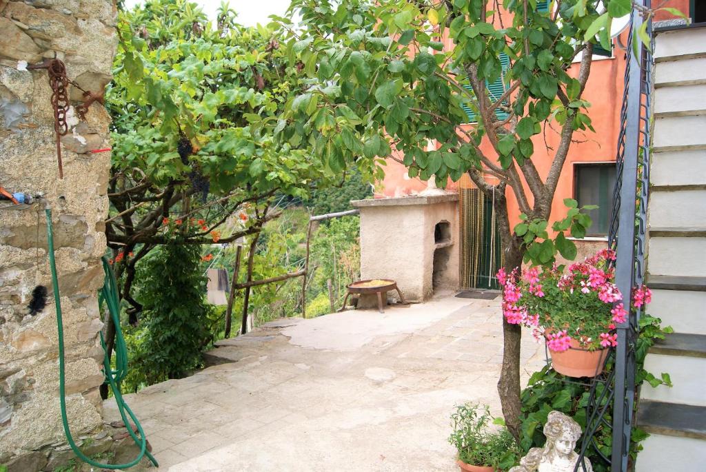 Zahrada ubytování Chez Il Pino Vernazza vista mare