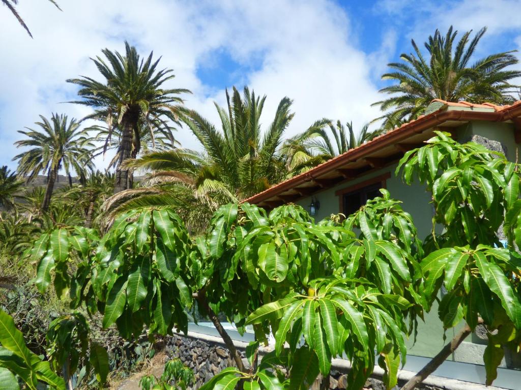 Zahrada ubytování El Pirguan Holiday House, your oasis in La Gomera