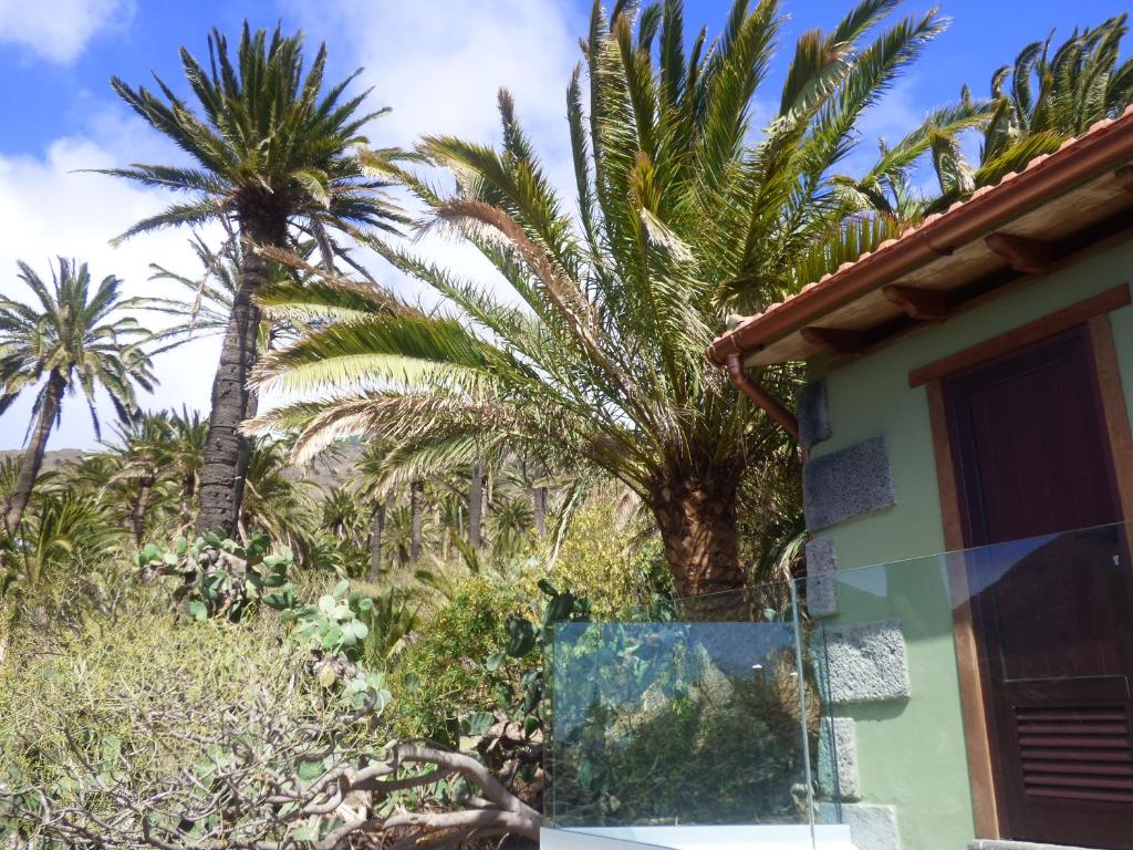 Zahrada ubytování El Pirguan Holiday House, your oasis in La Gomera