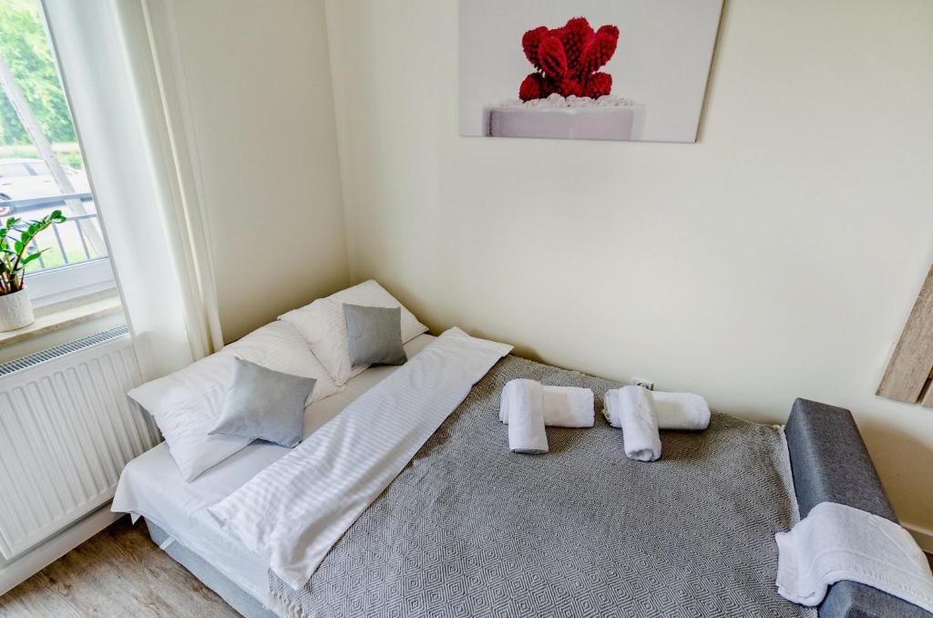 Apartamenty Novomiejska 17 - Apartamento Con Balcón
