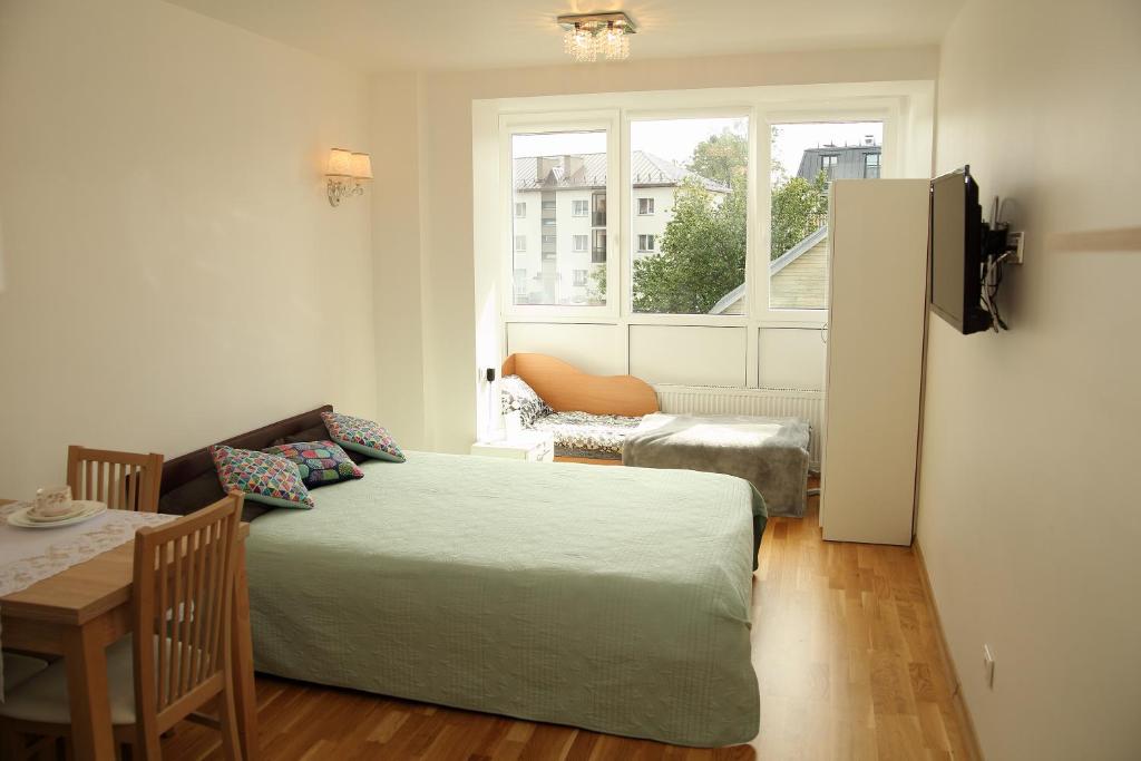 Apartment Druskonis - Studio Apartment