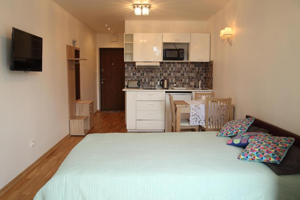 Apartment Druskonis - Housity