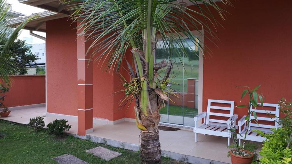 una palmera frente a una casa con dos sillas en Casa 4 pessoas 100m do mar 013, en Florianópolis
