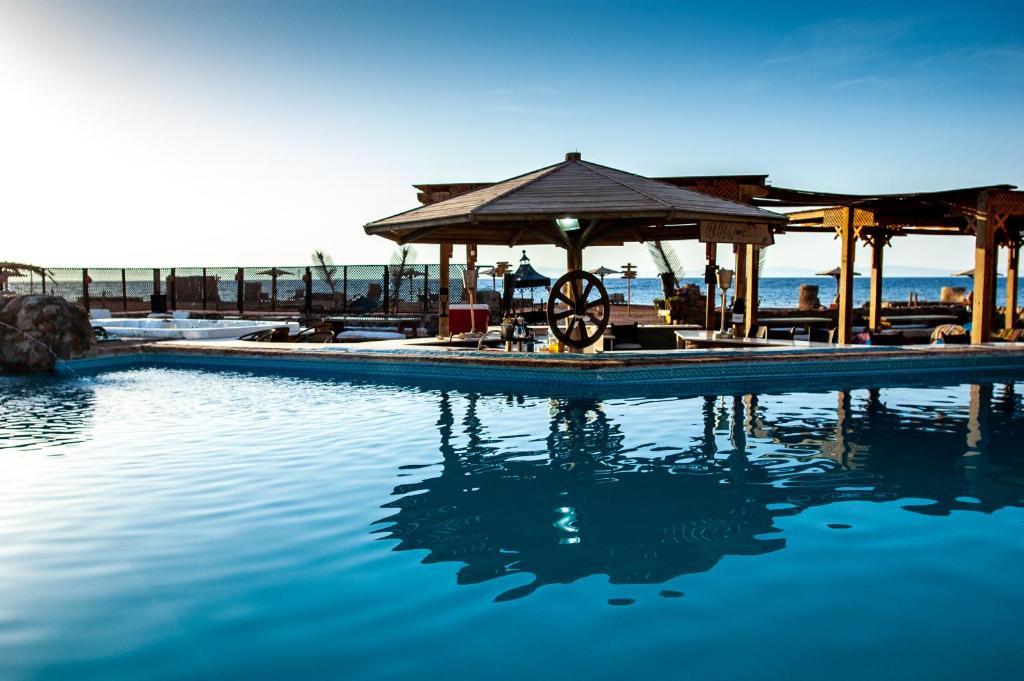 The swimming pool at or close to Daniela Diving Resort Dahab