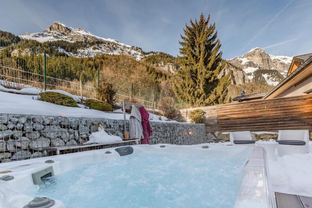 un bain à remous dans la neige avec des montagnes en arrière-plan dans l'établissement Les Edelweiss Mont-Blanc - Gîte Classé 3 Etoiles, à Passy