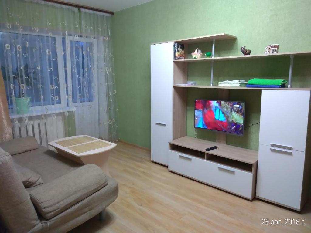 a living room with a couch and a tv at Apartment on Novo-Roslavlskaya 4 in Smolensk