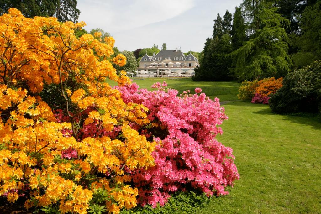 Zahrada ubytování Hôtel Résidence Parc des Eaux Vives
