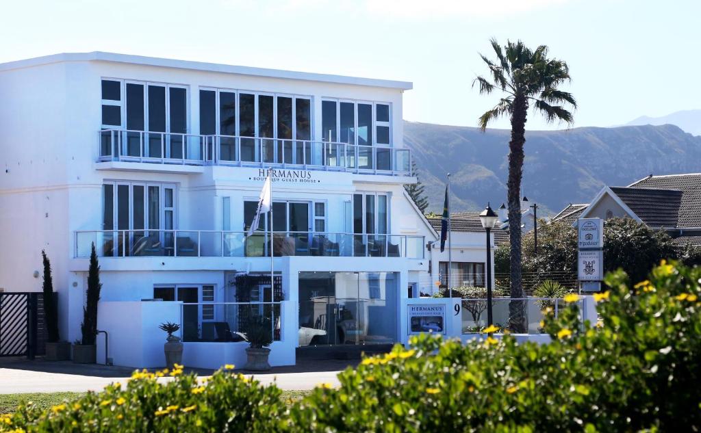 a white building with a palm tree in front of it at Hermanus Boutique Guest House in Hermanus
