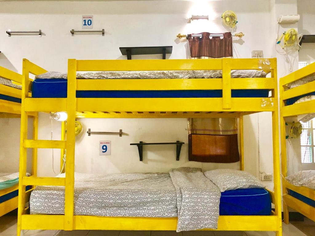 Pai circus hostel - Bunk Bed In Mixed Dormitory Room