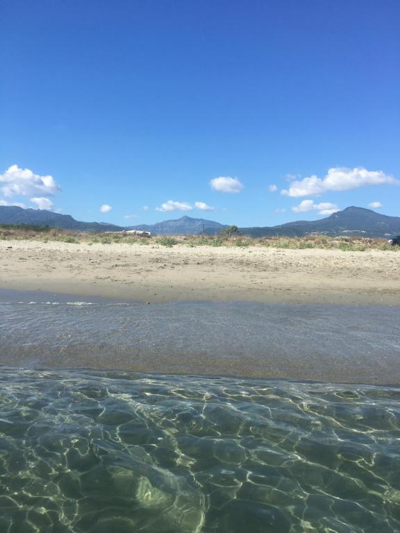 a beach with a bunch of rocks in the water at Maison en Pierre - Proche de la Mer in Castellare-di-Casinca