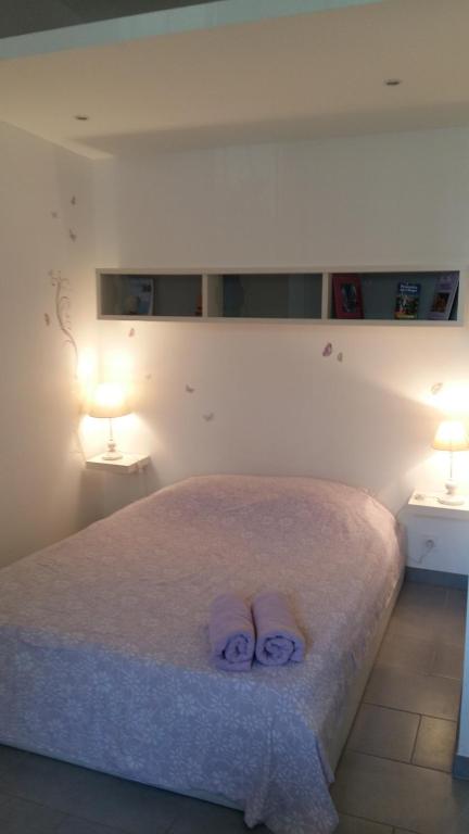 studio Vaucluse Clovis - 2