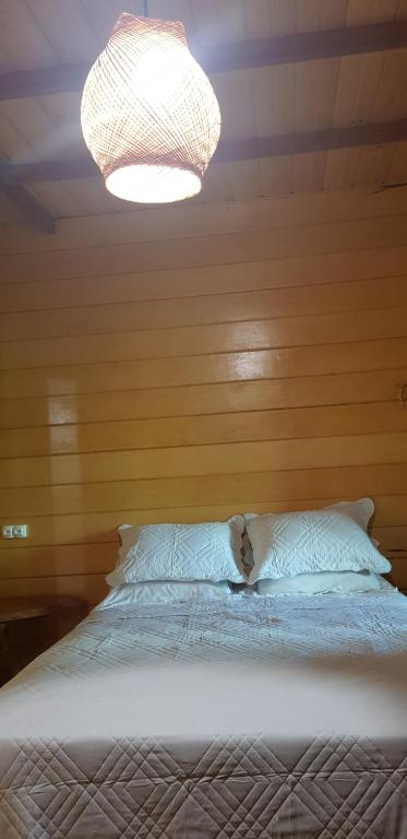  Amazon Arowana Lodge