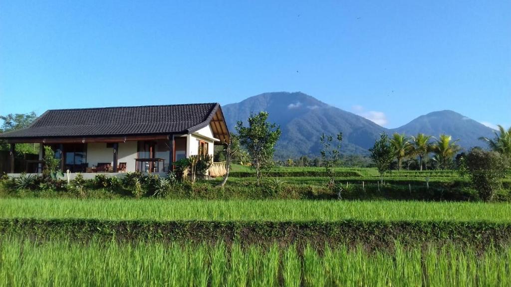 KUBU D'UME HOMESTAY - 1
