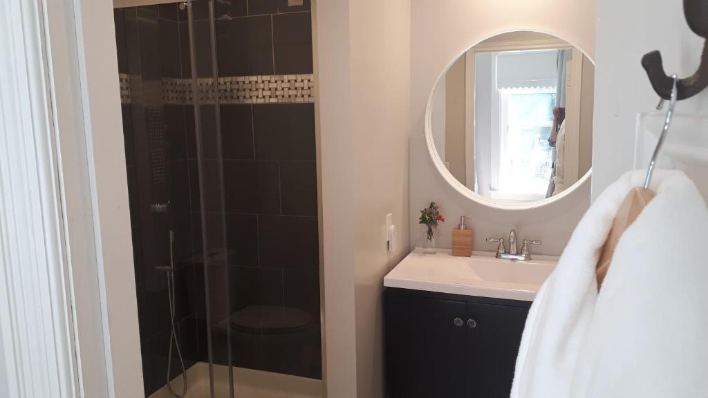 a bathroom with a sink and a shower with a mirror at Hillside Landing B&B in Digby