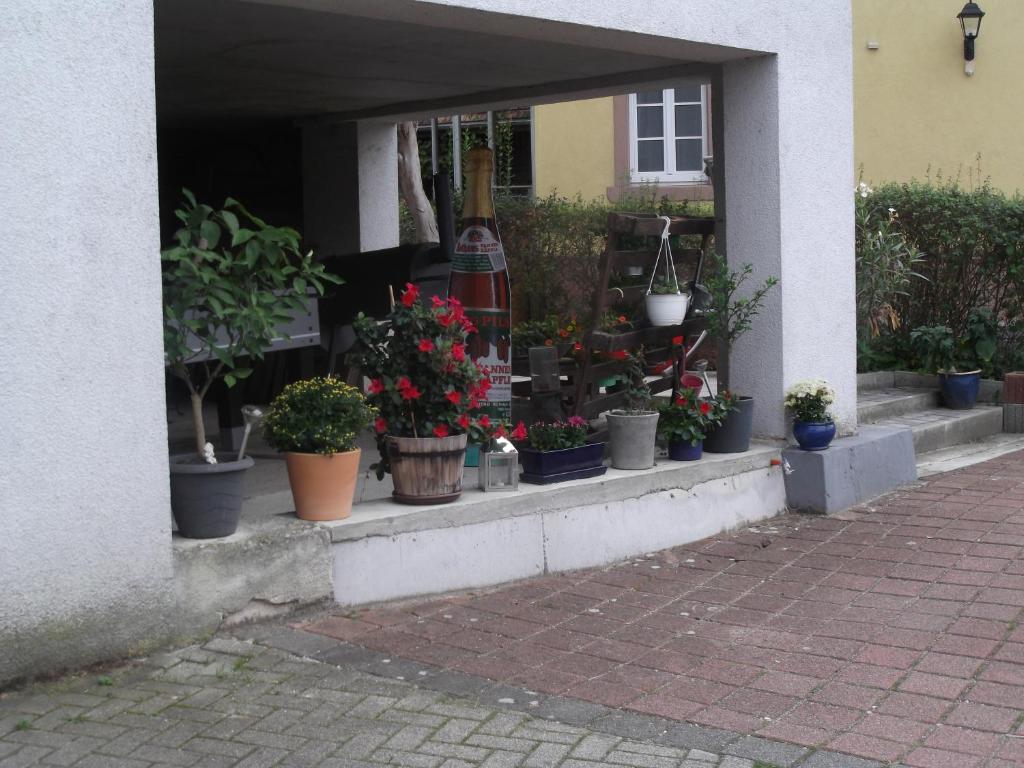 Zahrada ubytování Ferienwohnung Feist