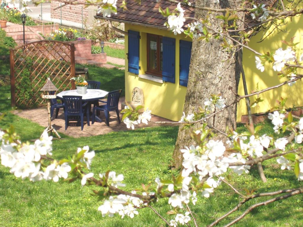 Zahrada ubytování Gite en Alsace