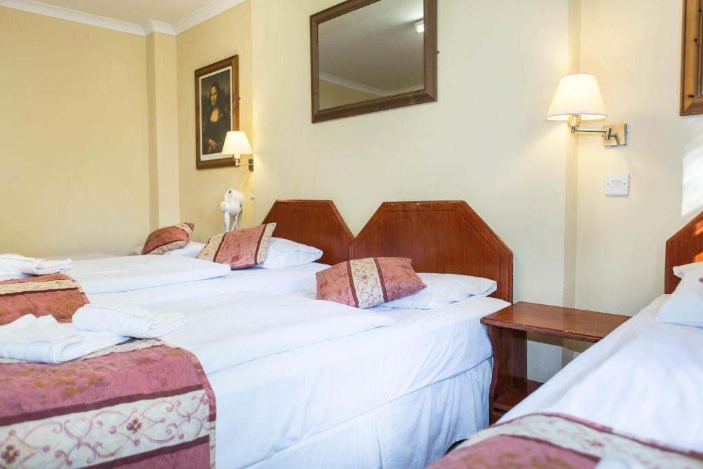 Postel nebo postele na pokoji v ubytování Dolphin Hotel