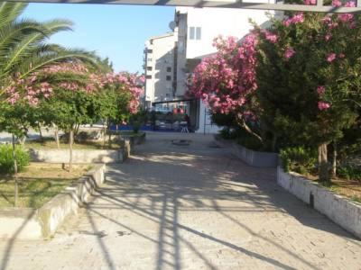 een straat met bomen en roze bloemen en een gebouw bij Aleksandar in Sutomore
