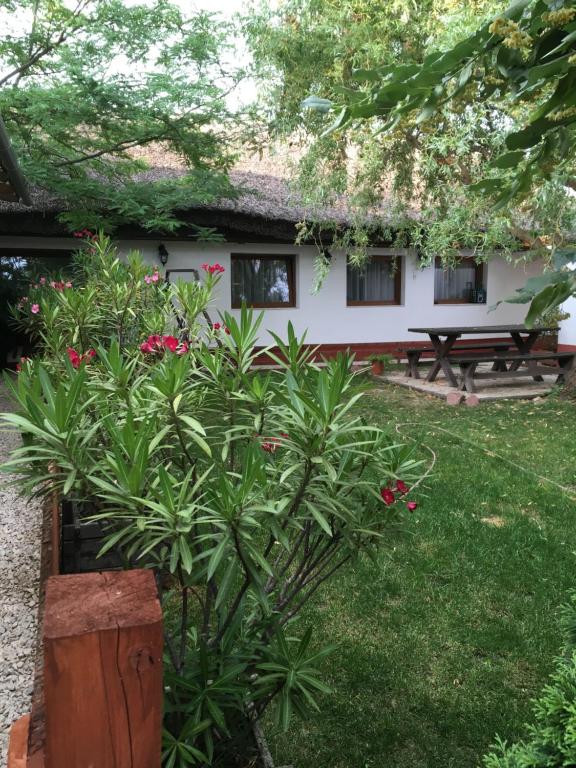 a house with a thatched roof and some plants at Balatonkenesei Nádfedeles Lovas Vendégház in Balatonkenese